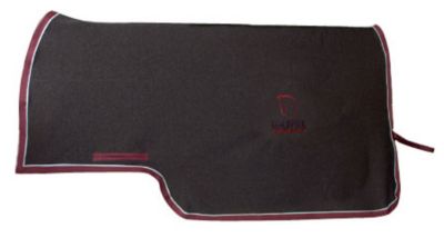 Draper Equine Therapy Quarter Sheet