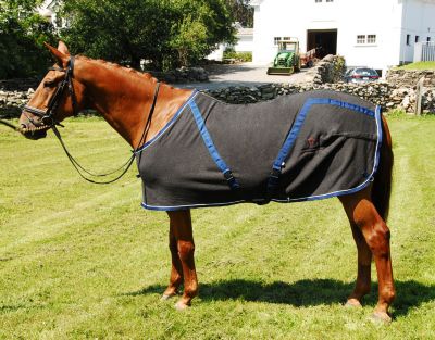 Draper Equine Therapy Horse Stable Blanket