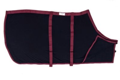 Draper Equine Therapy Anti Sweat Sheet