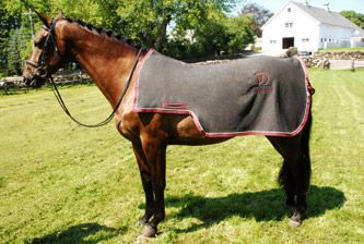 Draper Equine Quarter Sheet Best Price