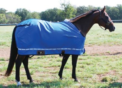 Classic Equine Nylon Horse Sheet