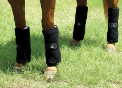 Classic Equine Stress Guard Leg Wraps Best Price