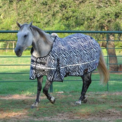 Classic Equine 10K Cross Trainer Heavyweight Turnout Blanket