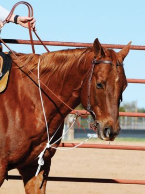 Martin Saddlery String Martingale
