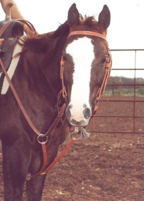 Martin Saddlery Leather Training Fork