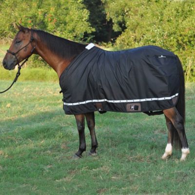 Classic Equine Nylon Sheet Best Price