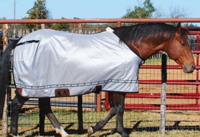 Classic Equine Fly Sheet Best Price