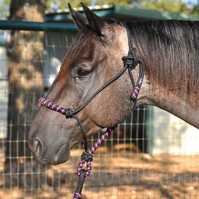 Classic Equine Nylon Rope Halter Best Price