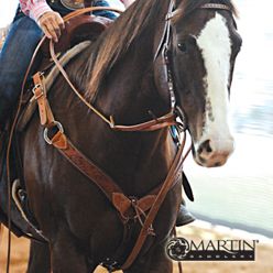 Martin Saddlery German Martingale with Split Reins Best Price