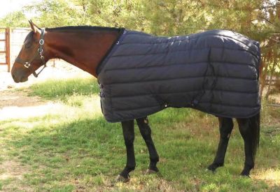 EOUS Heavyweight Stable Blanket