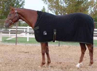 EOUS European High-Neck Cooler