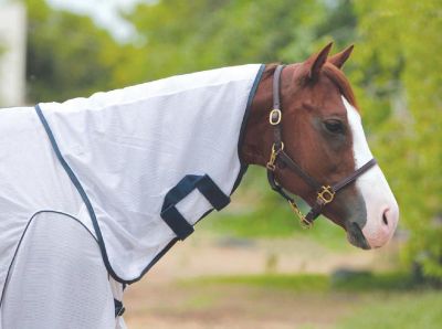 EOUS Dunbar Fly Hood