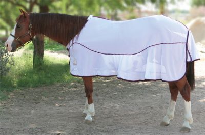 EOUS Dunbar Fly Sheet Best Price