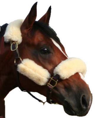 EOUS Sheepskin Halter Fleece Best Price