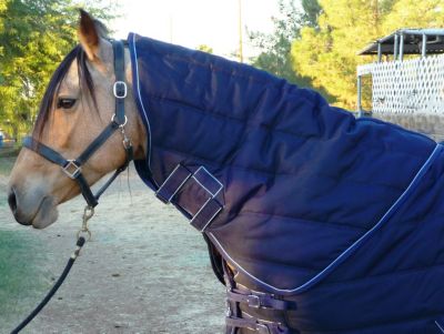 EOUS Heavyweight Stable Rug Hood Best Price
