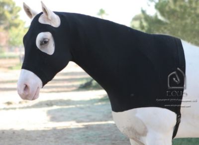 EOUS Cotton/Lycra Horse Hood Best Price