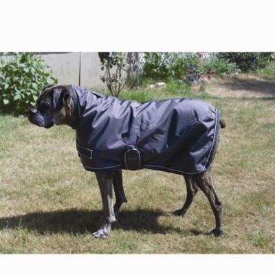 EOUS Waterproof Dog Rug Best Price