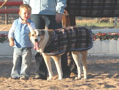 EOUS Dog Fleece Plaid Rug Best Price