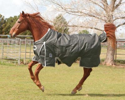 EOUS Apollo Lightweight Turnout Blanket Best Price