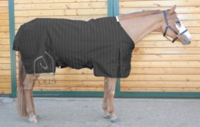 EOUS Phlegon Heavy Weight Turnout Horse Blanket Best Price
