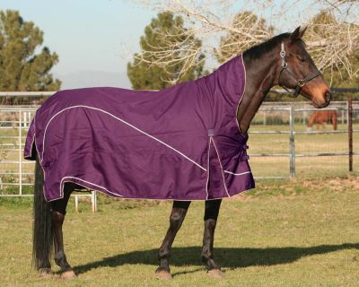 EOUS Madrid Midweight Turnout Blanket Best Price