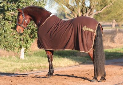 EOUS Wool Show Rug Best Price