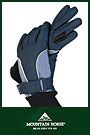 Mountain Horse Filly Glove Jr.