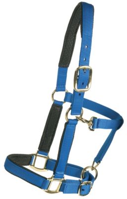 Equi-Star Super Padded Comfort Best Price