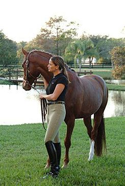 Ovation Ladies Light Weight Low Rider Pull On Riding Breeches