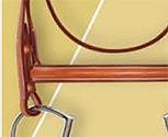 Ovation Collection Plain Raised Bridle With Laced Reins