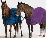 Pessoa - The Fleece Cooler
