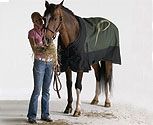 The Pessoa Tundra Heavyweight Turnout Horse Blanket