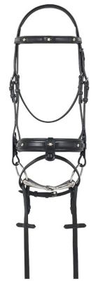 Ovation Bling Dressage Bridle - Three Square