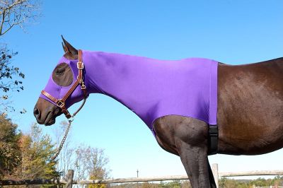 Centaur Lycra Mane Hood