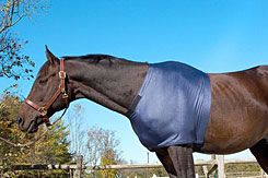 Centaur Lycra Shoulder Guard