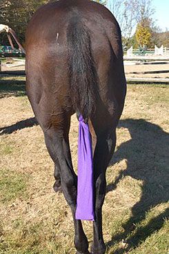 Centaur Lycra Tail Bag