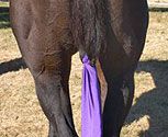 Centaur Lycra Tail Bag