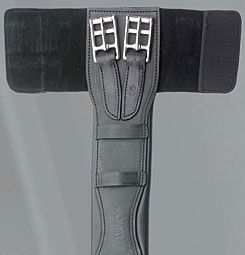 Anky JR Dressage Girth