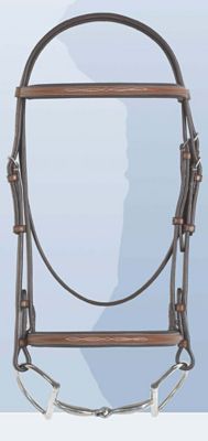 Rodrigo Fancy Raised Padded Bridle Less Reins
