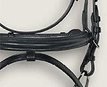 Avalon Collection Padded Bridle