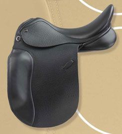ANKY Euro Dressage XCH AMS