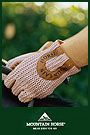 Mountain Horse Crochet Gloves 2008 Colors