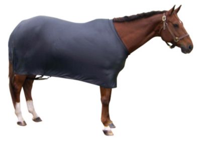 Centaur Lycra Full Sheet