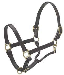 Ovation Triple Stitch Show Halter