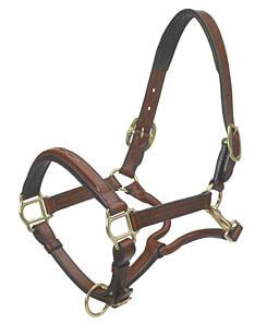 Ovation Wide Square Raised Padded Halter