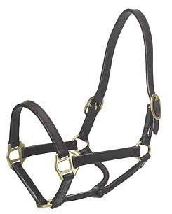 Ovation Double Stitch Sale Halter