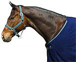 Centaur Superline Nylon Halter