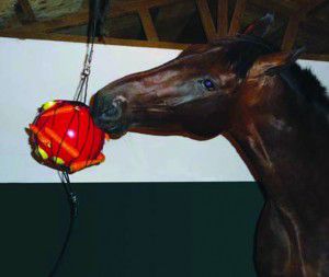 Centaur Equine Distraction Aid