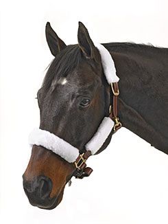 Centaur Fleece Halter Tube Kit