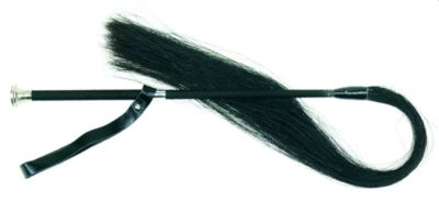 Goddard Fly Wisk Best Price